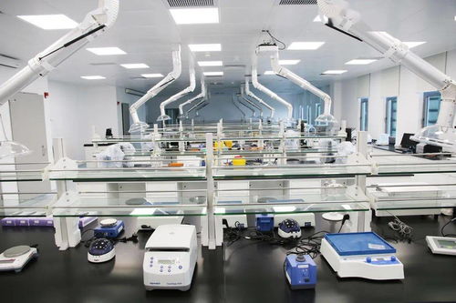 生命與健康科學學院 教學實驗室大揭秘