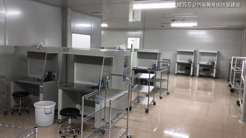 廣州與湛江組培室建設與維護全攻略